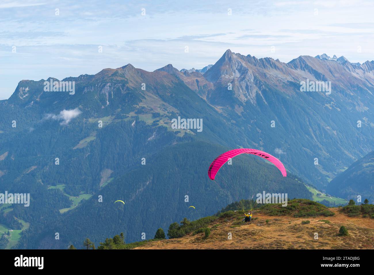 Gleitschirmflüge ab Penken (2095 m), Tandem-Paragliding Mayrhofen, Zillertaler Alpen, Tirol, Österreich Stockfoto