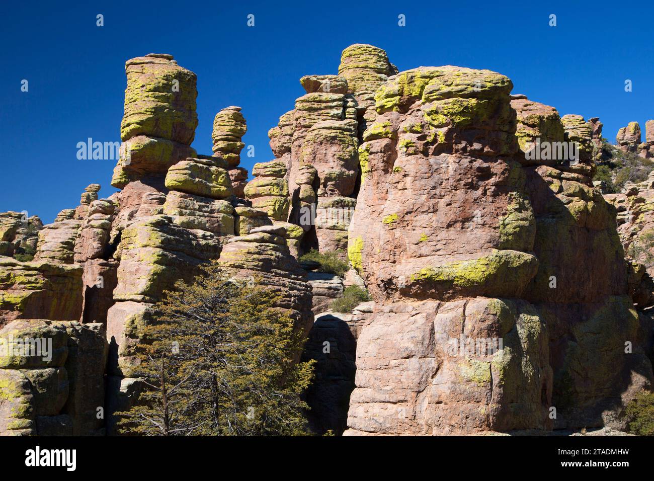 Rock-Zinnen von Echo Canyon Loop Trail, Chiricahua National Monument, Arizona Stockfoto