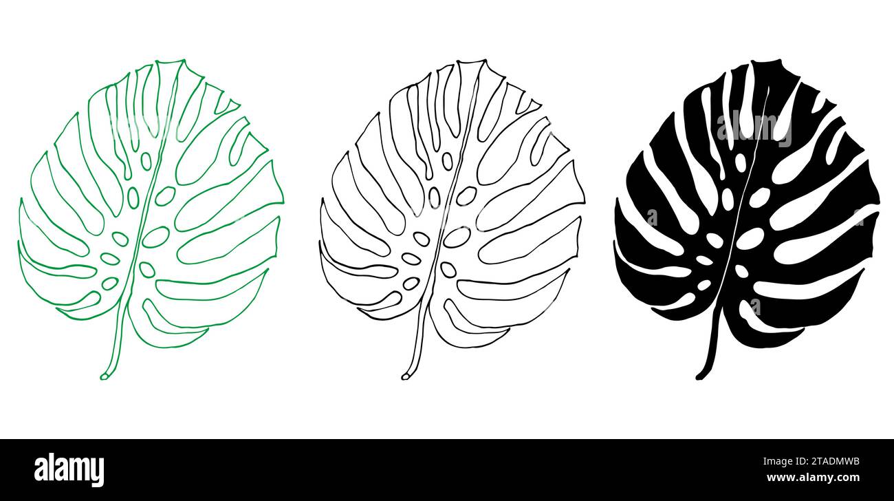 Monstera Linie und Silhouette Set aus tropischen Blättern, grünes Designelement Monstera Blatt, Dschungelpflanze. Blatt zum Ausmalen von Buch, Logo oder Scrapbook. V Stock Vektor