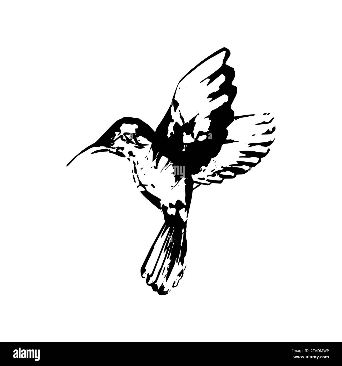 Kleiner tropischer Vogel. Vektorillustration für Design des Logos, der Karte, isolieren auf weißem Hintergrund Stock Vektor