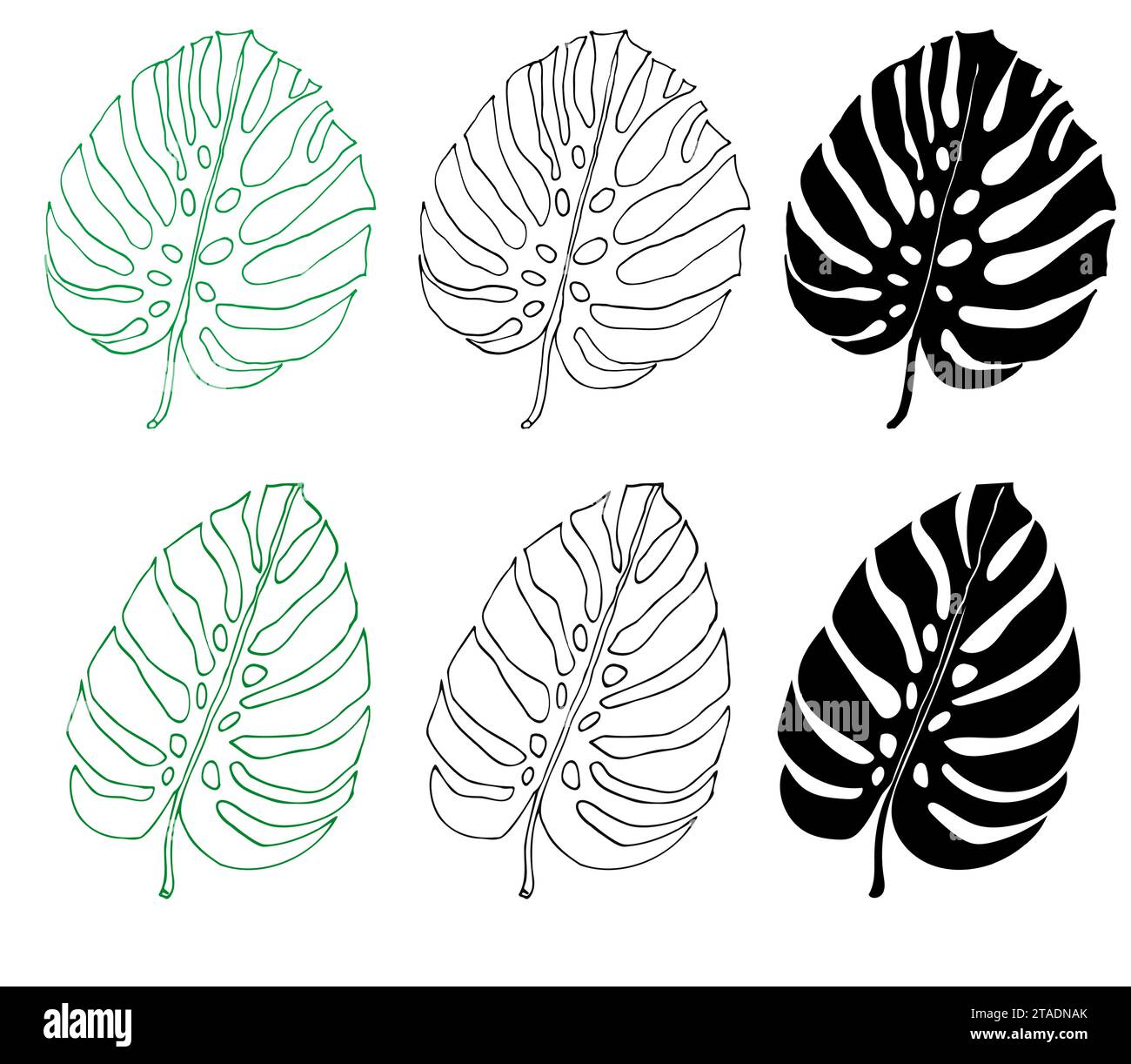 Monstera Linie und Silhouette Set aus tropischen Blättern, grünes Designelement Monstera Blatt, Dschungelpflanze. Blatt zum Ausmalen von Buch, Logo oder Scrapbook. V Stock Vektor