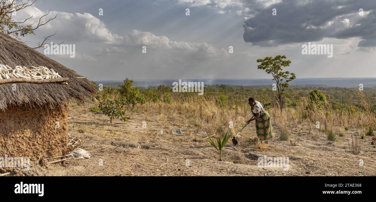 Tansania, Ruvuma Region, Jakika Eine Frau bewirtschaftet das Feld vor ihrem Haus, im Hintergrund der nahe gelegene Wald mit Rauch, der über den Brandwunden steigt Stockfoto