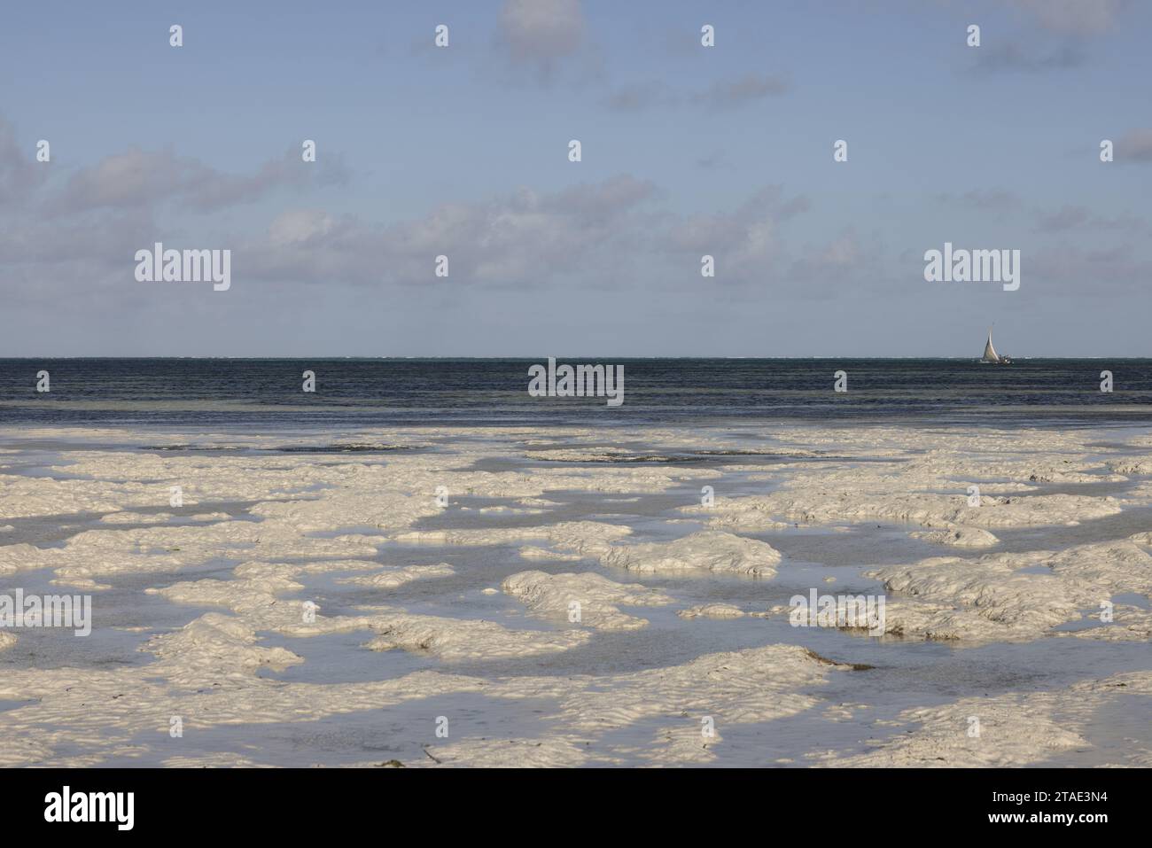 Tansania, Sansibar, Jambiani, Jambiani Strand bei Ebbe Stockfoto