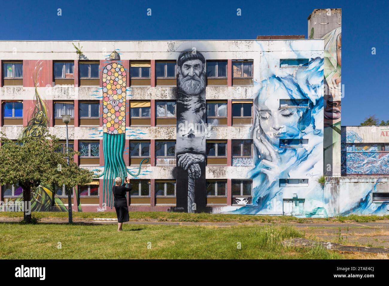 Frankreich, Allier, Lurcy-Lévis, Street Art City, dieses ehemalige Ausbildungszentrum für France Telecom ist zu einer künstlerischen Residenz geworden, die sich der städtischen Bildkunst widmet, von links nach rechts Werke von Depose, Aero, Simple G Stockfoto