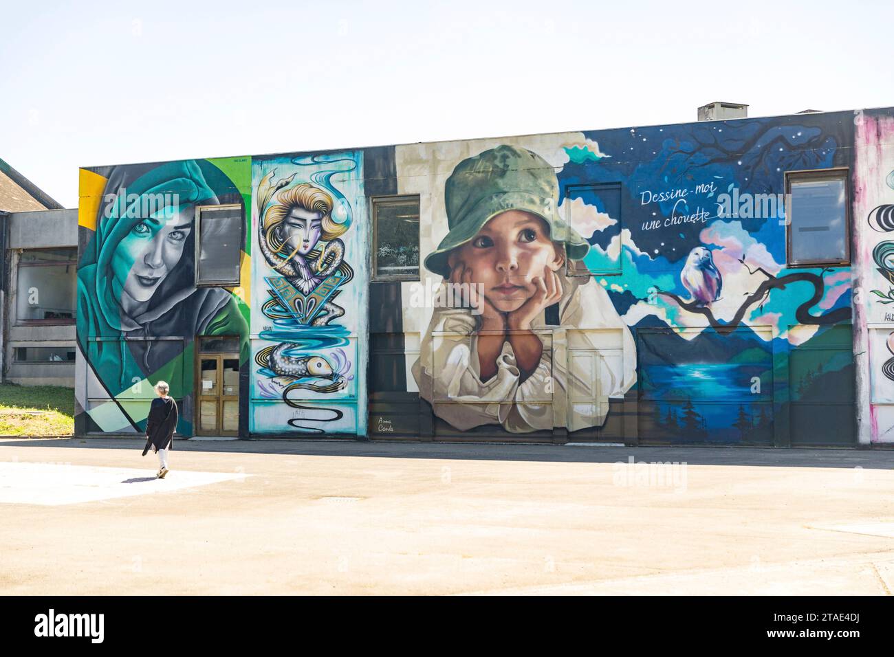 Frankreich, Allier, Lurcy-Lévis, Street Art City, dieses ehemalige Ausbildungszentrum für France Telecom ist zu einer künstlerischen Residenz geworden, die sich der städtischen Bildkunst, Arbeiten von Kaldea und Anna Conda widmet (Zentrum) Stockfoto