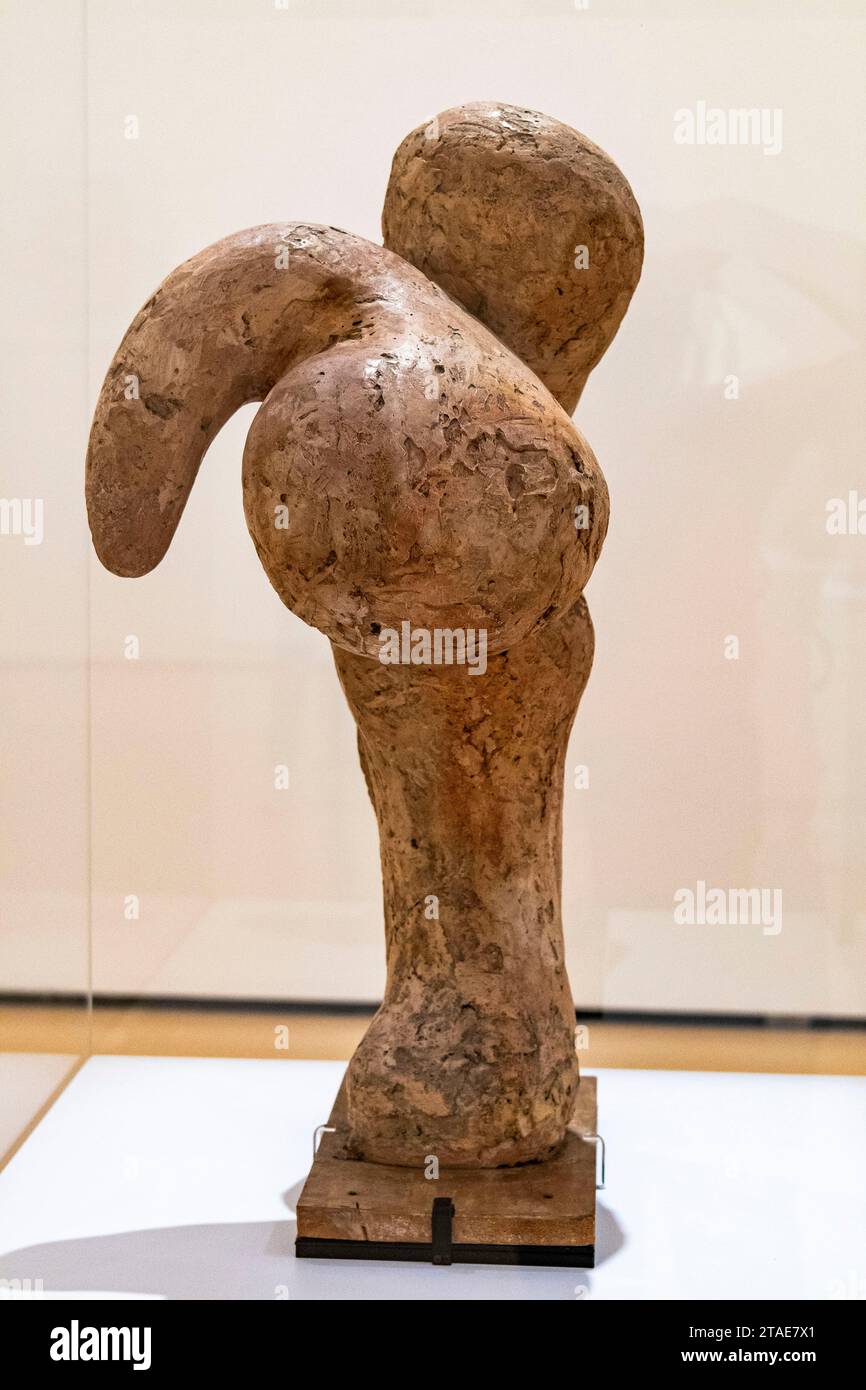 Spanien, Baskenland, Bilbao, die größte Stadt der autonomen Gemeinschaft des Baskenlandes und des Nordens der Iberischen Halbinsel. Das Guggenheim Museum in Bilbao ist ein Museum für moderne und zeitgenössische Kunst, entworfen von Frank Gehry. Galeries Pablo Picasso Stockfoto