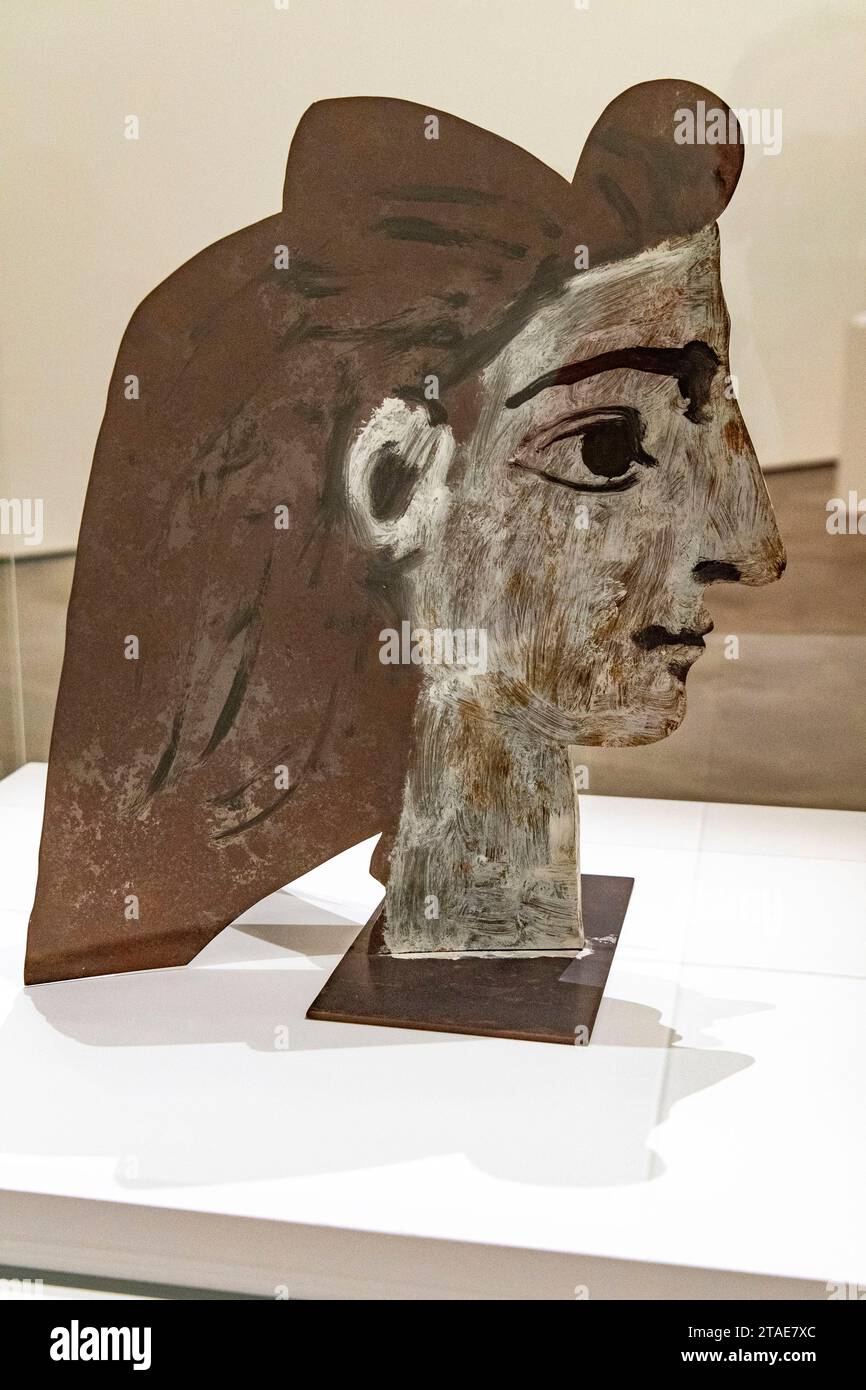 Spanien, Baskenland, Bilbao, die größte Stadt der autonomen Gemeinschaft des Baskenlandes und des Nordens der Iberischen Halbinsel. Das Guggenheim Museum in Bilbao ist ein Museum für moderne und zeitgenössische Kunst, entworfen von Frank Gehry. Galeries Pablo Picasso Stockfoto