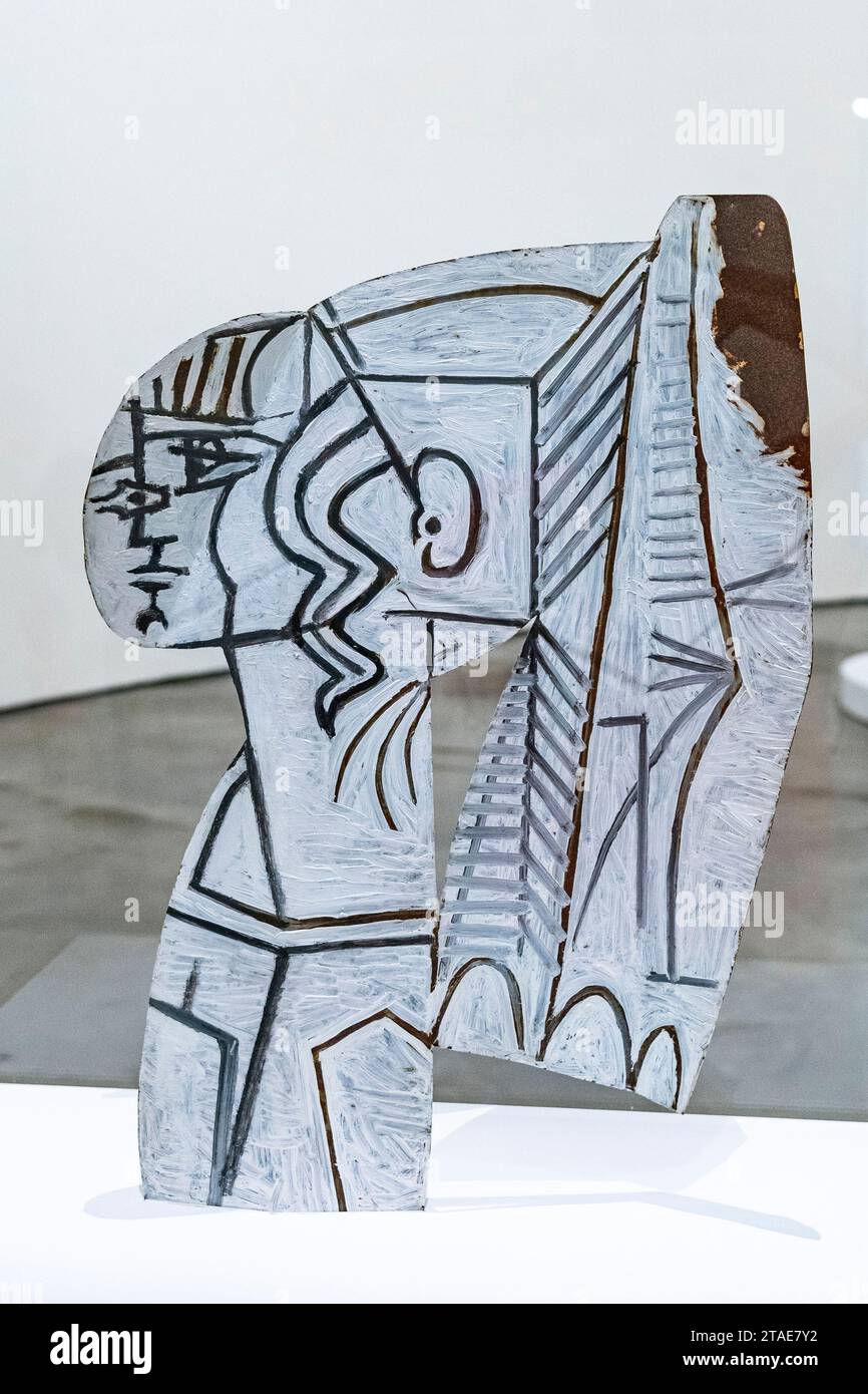 Spanien, Baskenland, Bilbao, die größte Stadt der autonomen Gemeinschaft des Baskenlandes und des Nordens der Iberischen Halbinsel. Das Guggenheim Museum in Bilbao ist ein Museum für moderne und zeitgenössische Kunst, entworfen von Frank Gehry. Galeries Pablo Picasso Stockfoto