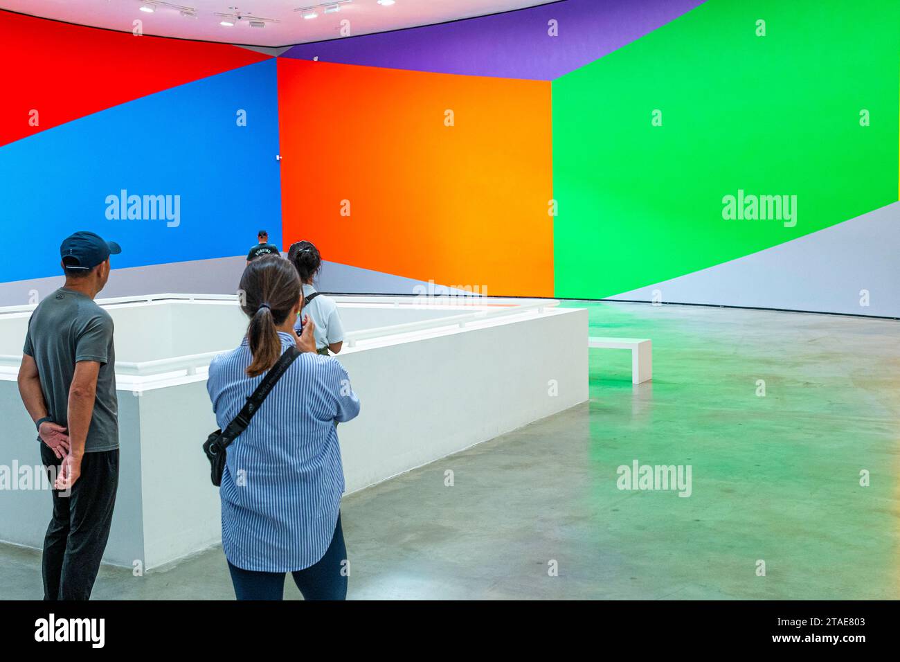 Spanien, Baskenland, Bilbao, die größte Stadt der autonomen Gemeinschaft des Baskenlandes und des Nordens der Iberischen Halbinsel. Das Guggenheim Museum in Bilbao ist ein Museum für moderne und zeitgenössische Kunst, entworfen von Frank Gehry. Sol LeWitt, Murale Nr. 831 (formes géométriques) Stockfoto
