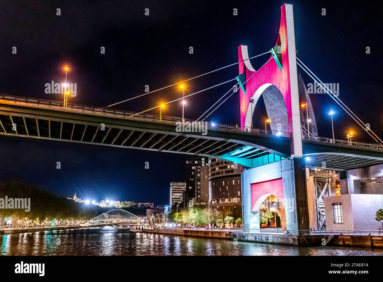 Spanien, Baskenland, Bilbao, die größte Stadt der autonomen Gemeinschaft des Baskenlandes und des Nordens der Iberischen Halbinsel. Das Guggenheim Museum in Bilbao ist ein Museum für moderne und zeitgenössische Kunst, entworfen von Frank Gehry, Nachtbeleuchtung. Stockfoto
