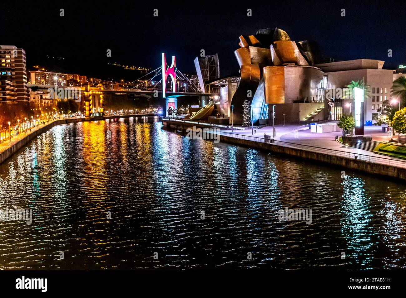 Spanien, Baskenland, Bilbao, die größte Stadt der autonomen Gemeinschaft des Baskenlandes und des Nordens der Iberischen Halbinsel. Das Guggenheim Museum in Bilbao ist ein Museum für moderne und zeitgenössische Kunst, entworfen von Frank Gehry, Nachtbeleuchtung. Stockfoto