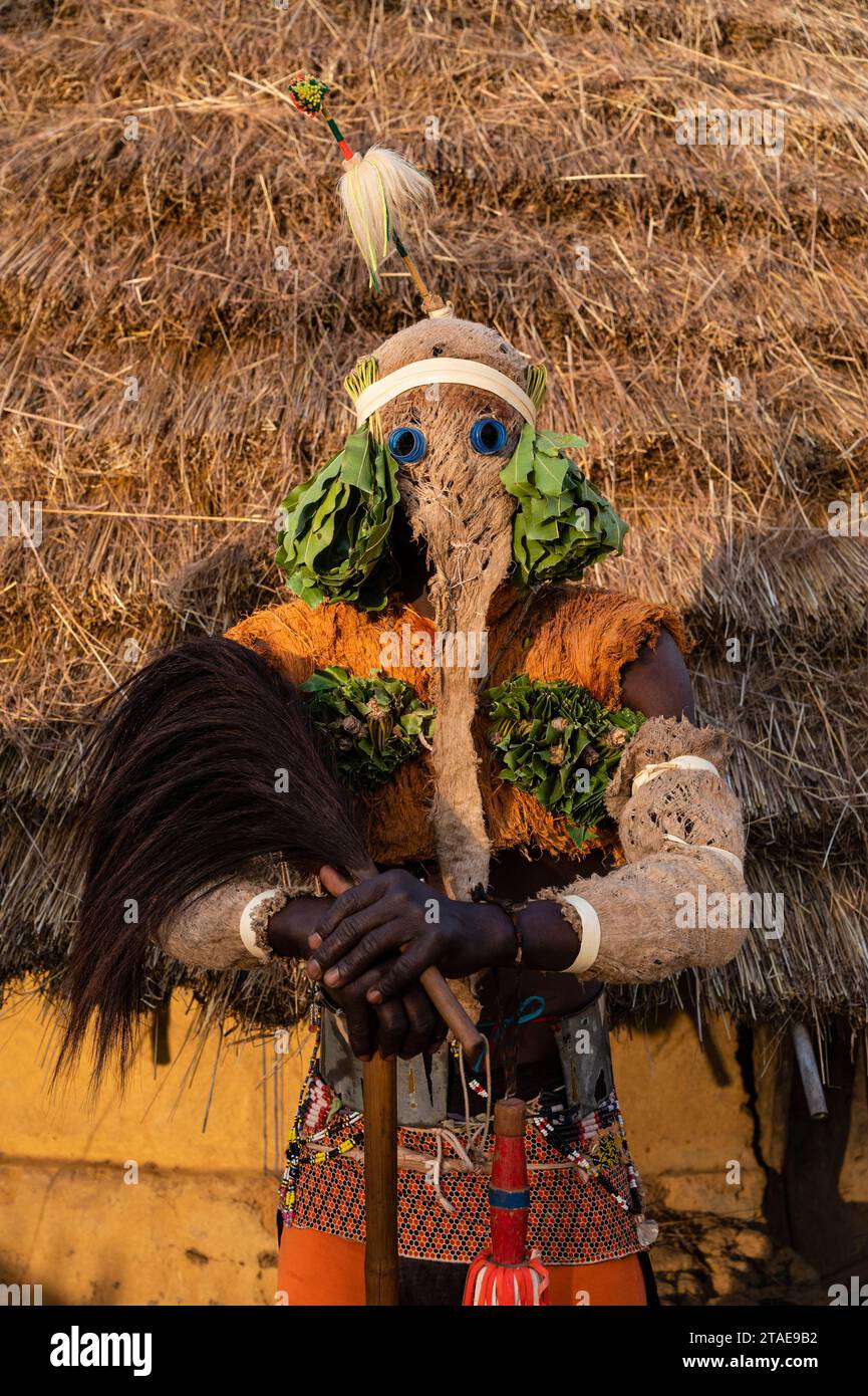 Senegal, östlicher Senegal, Kédougou, Departement dar Salam, Dorf Ethiolo, Bassari traditionelle Tänzerin mit Elefantenmaske Stockfoto