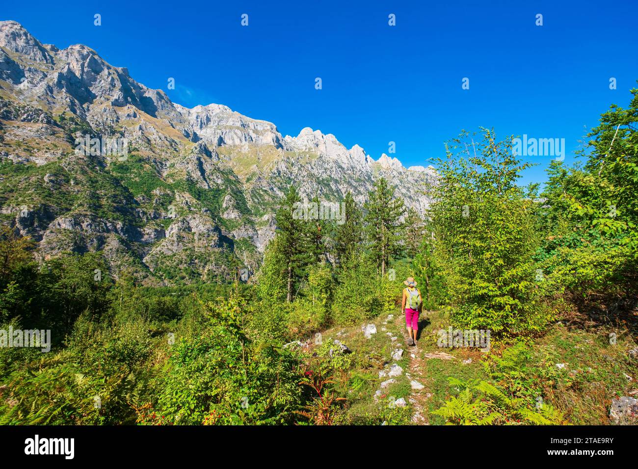 Albanien, Provinz Kukes, Nationalpark Valbona Valley, Wandern durch das Dorf Valbona Stockfoto