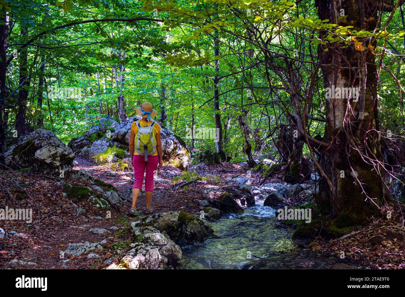 Albanien, Provinz Kukes, Nationalpark Valbona Valley, Wandern durch das Dorf Valbona Stockfoto