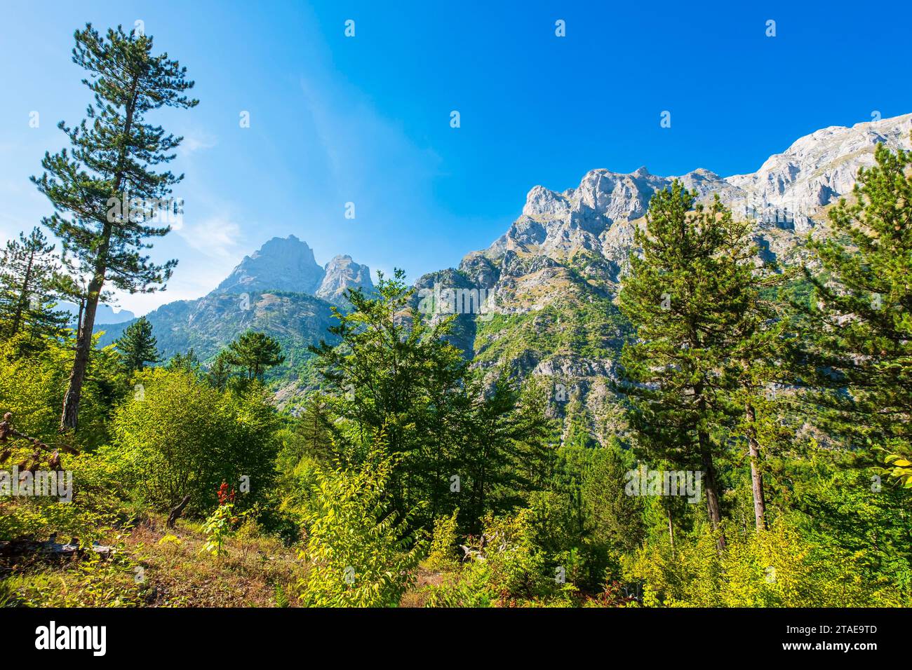 Albanien, Provinz Kukes, Nationalpark Valbona Valley, Umgebung des Dorfes Valbona Stockfoto