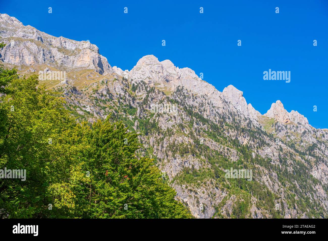 Albanien, Provinz Kukes, Nationalpark Valbona Valley, Umgebung des Dorfes Valbona Stockfoto