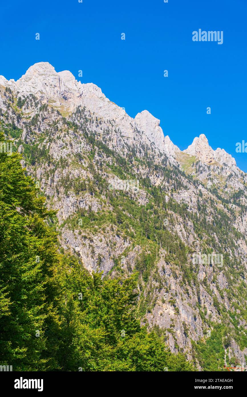 Albanien, Provinz Kukes, Nationalpark Valbona Valley, Umgebung des Dorfes Valbona Stockfoto