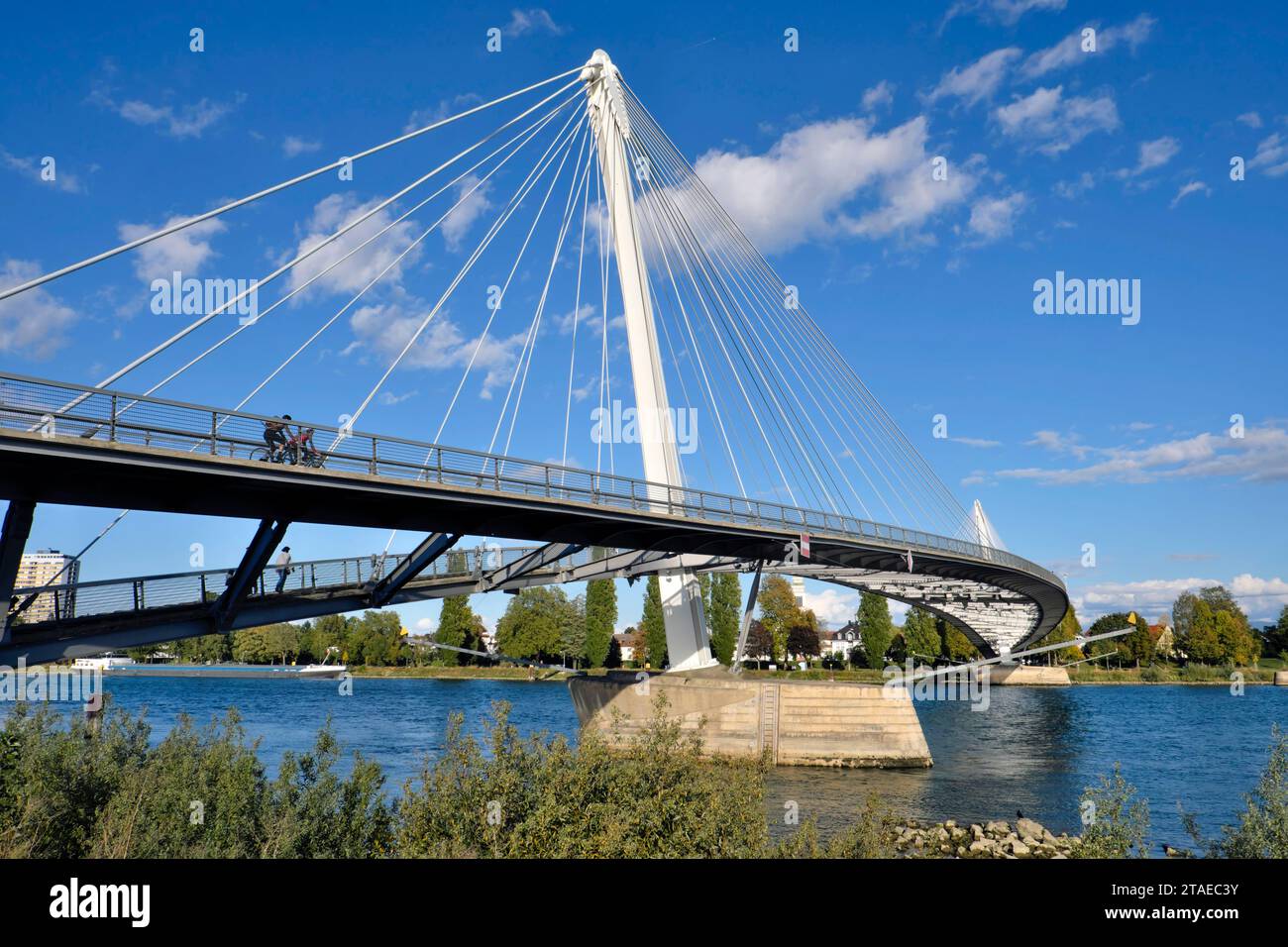 Frankreich, Bas Rhin, Straßburg, Jardin des Deux Rives, Fußgängerbrücke Mimram oder Fußgängerbrücke Deux Rives am Rhein, französische Seite Stockfoto