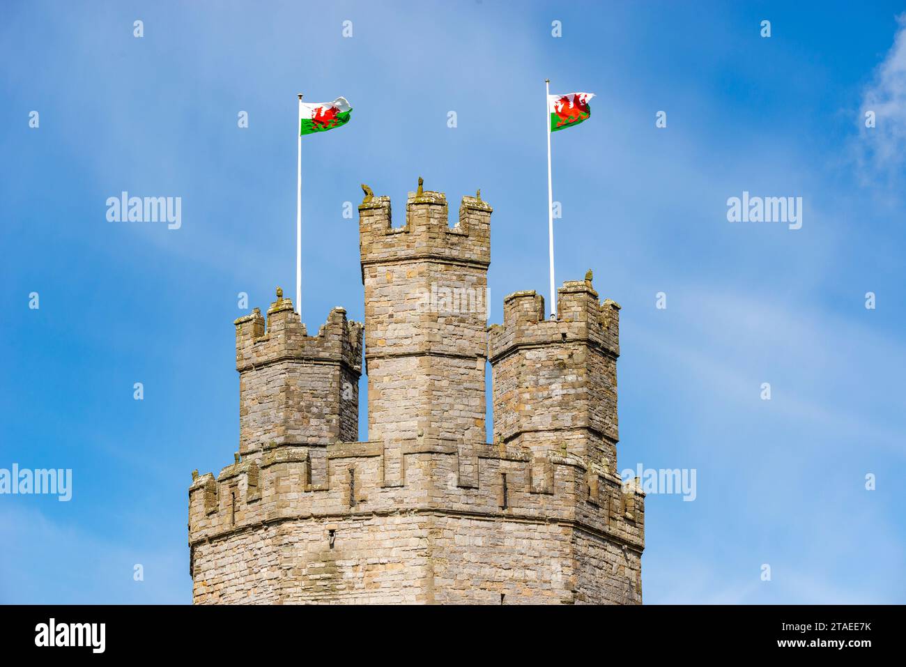 Walisische Fahnen fliegen vom Adlerturm von Caernarfon Castle in Gwynedd, Nordwales. Stockfoto