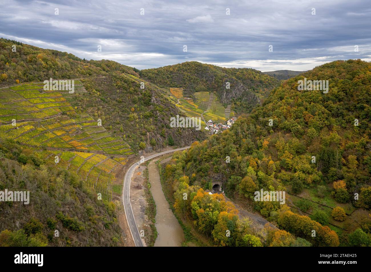Panoramabild des Weinbergs im Herbst, Ahr, Rheinland-Pfalz, Deutschland Stockfoto