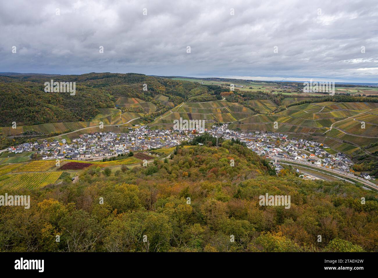 Panoramabild des Weinbergs im Herbst, Dernau, Ahr, Rheinland-Pfalz, Deutschland Stockfoto