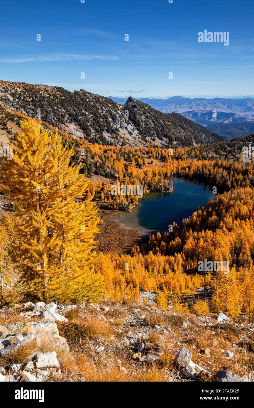 WA23829-00...WASHINGTON - Cooney Lake umgeben von Lärchen in herbstlicher Farbe; Okanogan National Forest. Stockfoto