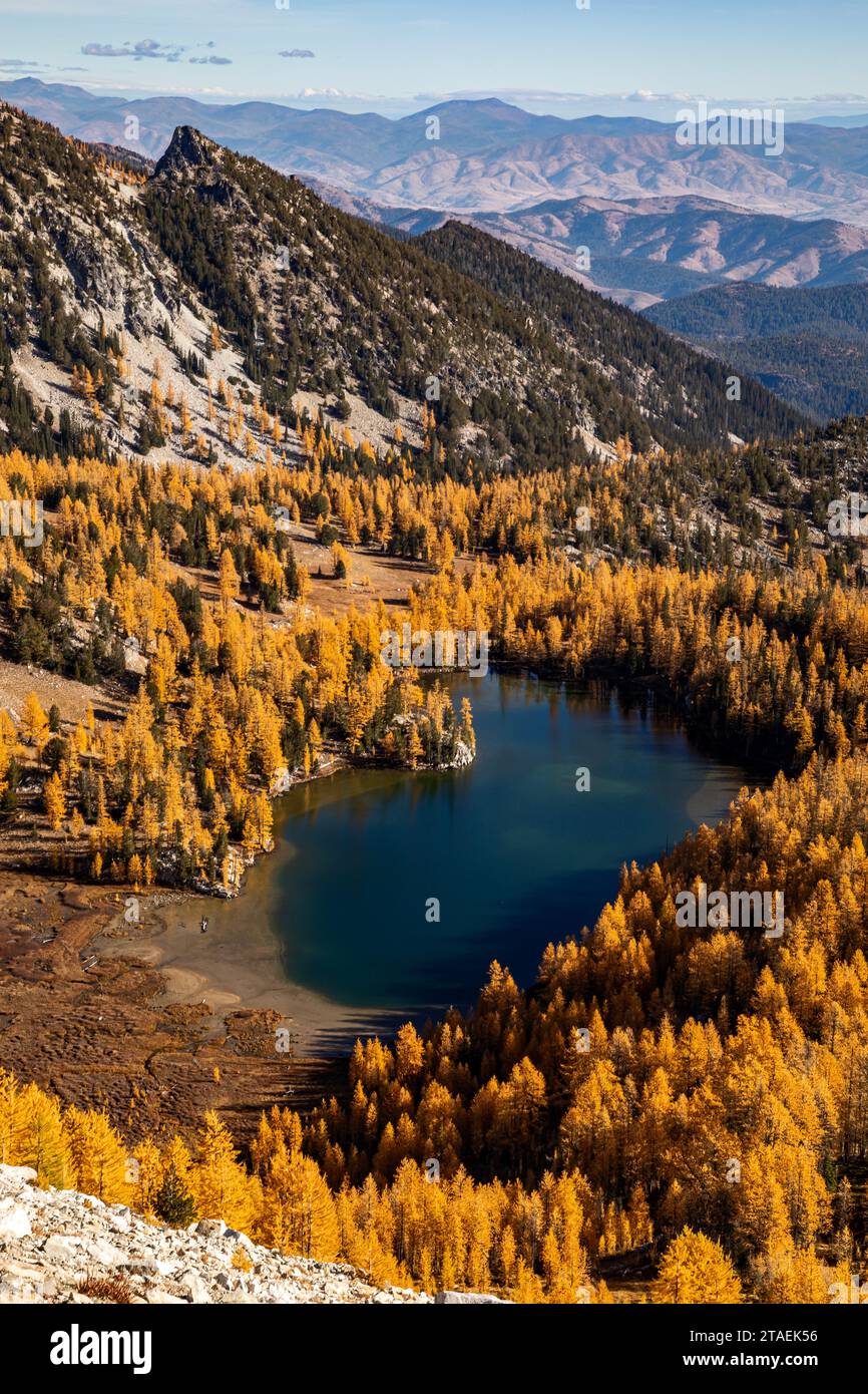 WA23834-00...WASHINGTON - Cooney Lake umgeben von Lärchen in herbstlicher Farbe; Okanogan National Forest. Stockfoto