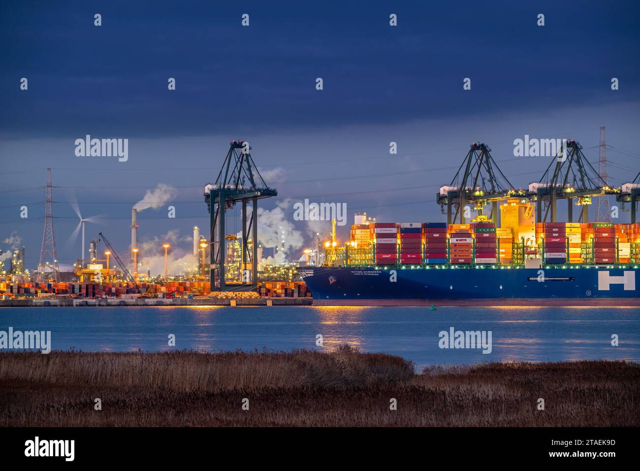 Portalkrane und gestapelte Container auf Containerschiffen, die am Containerterminal im Hafen von Antwerpen, Flandern, Belgien, angedockt werden Stockfoto