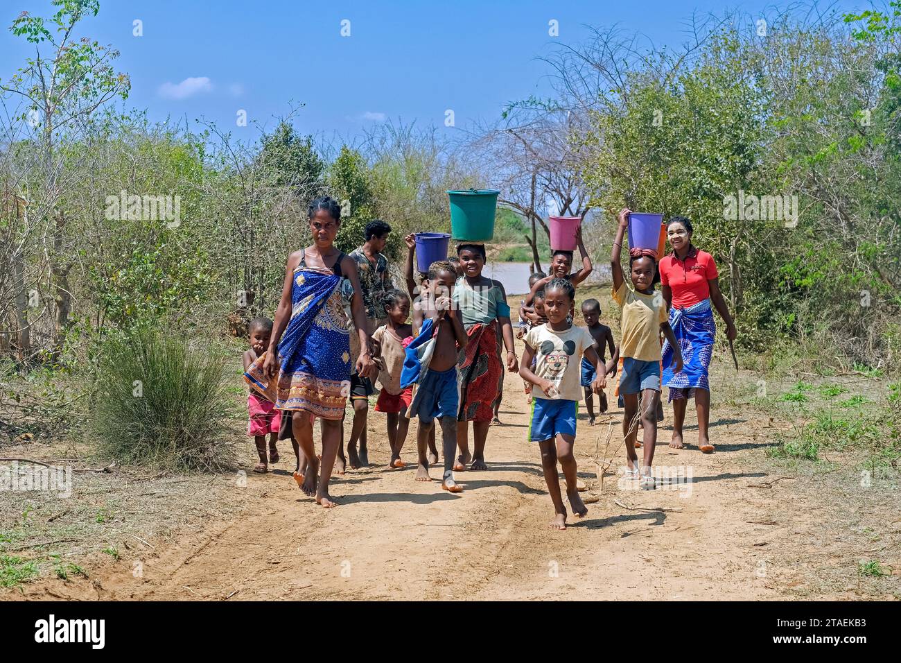 Madagassische Frauen und Kinder mit Eimern Wasser auf dem Kopf gehen vom Fluss zurück zum Dorf Ambotomisay, Menabe, Central Highlands, Madagaskar Stockfoto