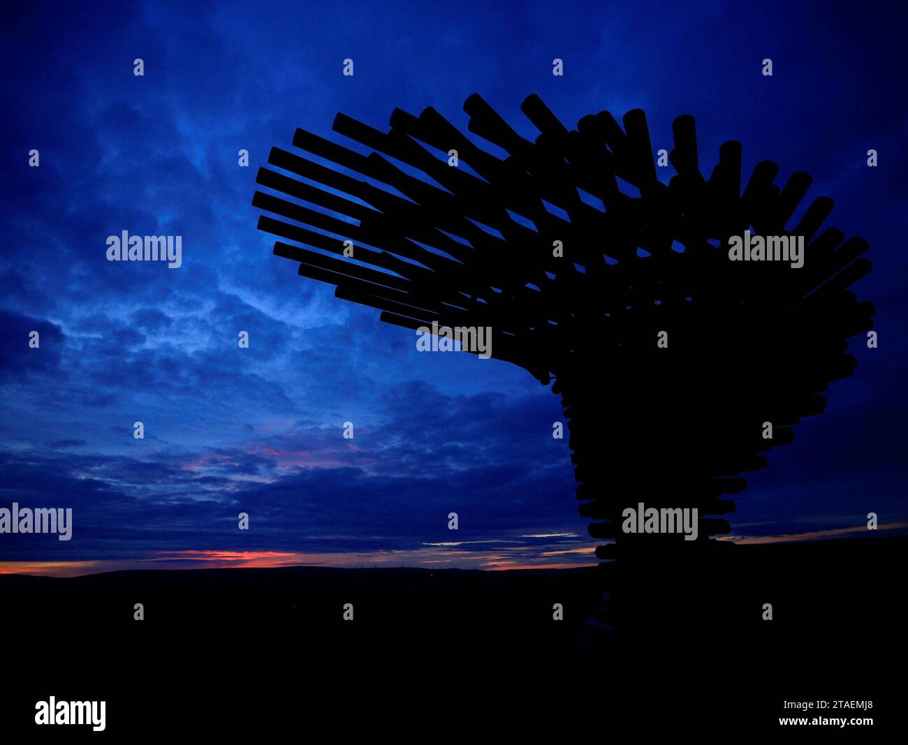 Singender, klingelnder Baum Stockfoto