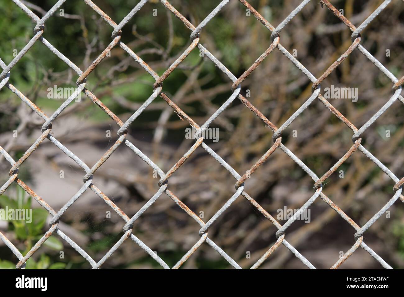 Stacheldrahtzaun blockiert den verbotenen Bereich im Golden Gate Park, San Francisco, Kalifornien, USA Stockfoto