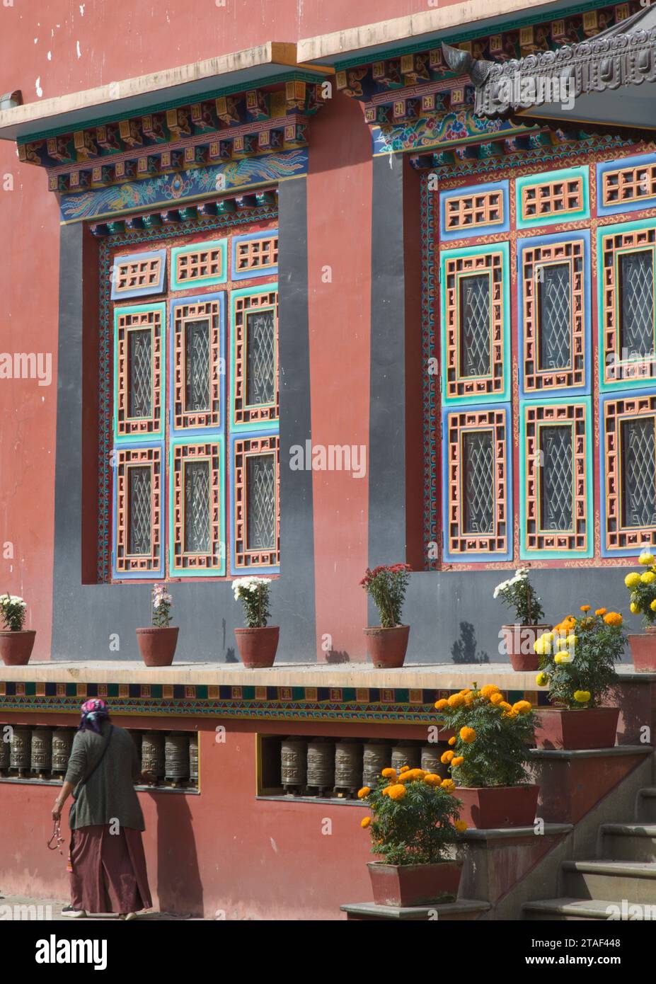 Nepal, Kathmandu-Tal, Bodhnath, Shechen Tengyi Dargyeling Gompa, tibetisch-buddhistisches Kloster, Stockfoto