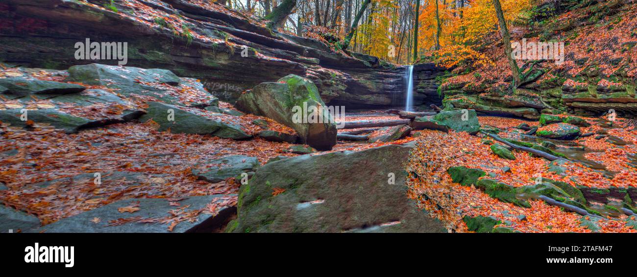 Blick auf die Dundee Falls im Herbst, Beach City Wilderness Area, Ohio Stockfoto