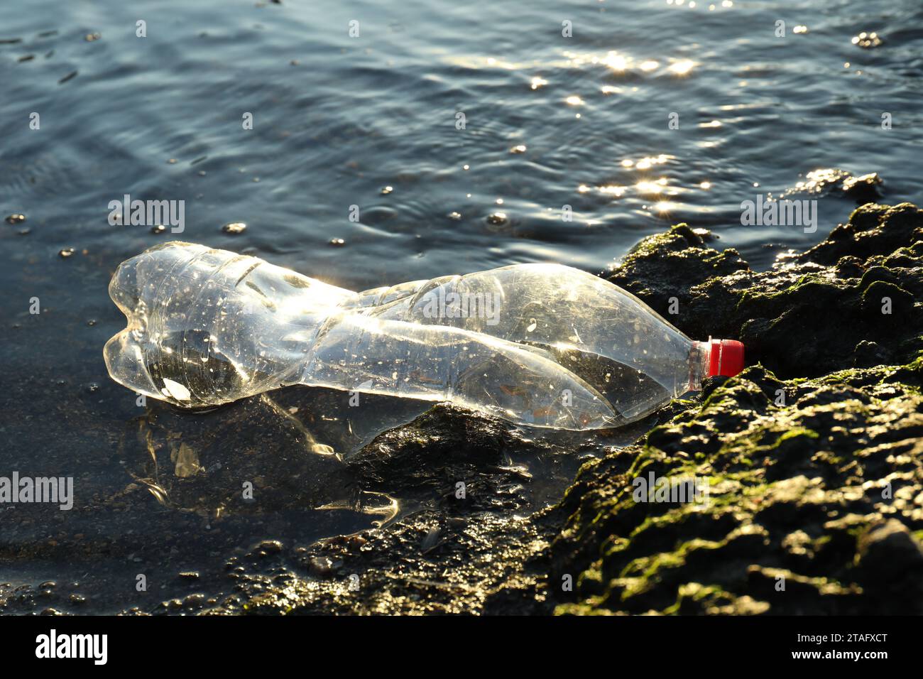 Benutzte Plastikflasche in der Nähe von Wasser im Freien. Umweltverschmutzung Stockfoto