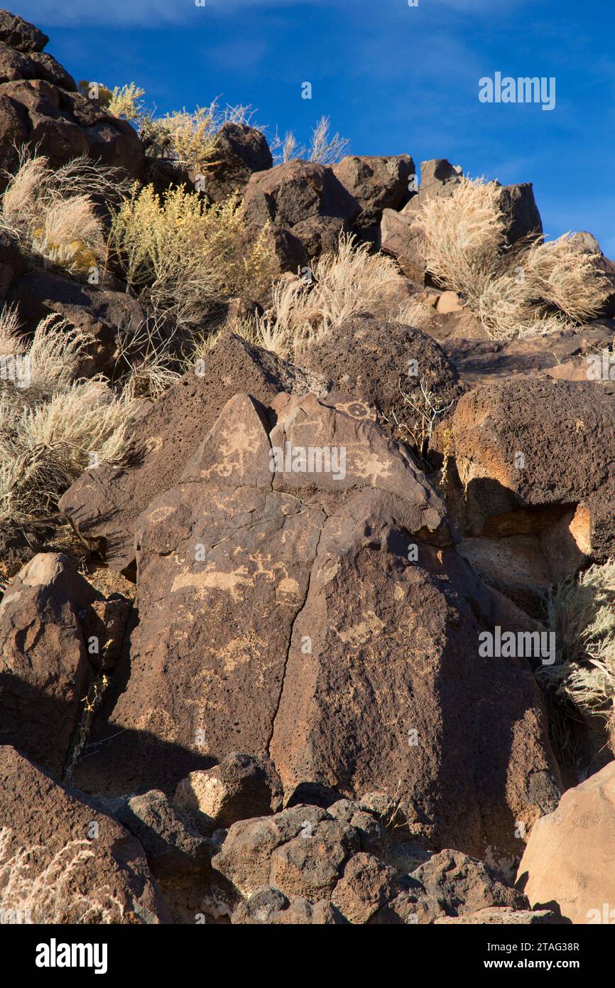 Petroglyph, Piedras Marcadas Canyon, Petroglyph National Monument, New Mexico Stockfoto