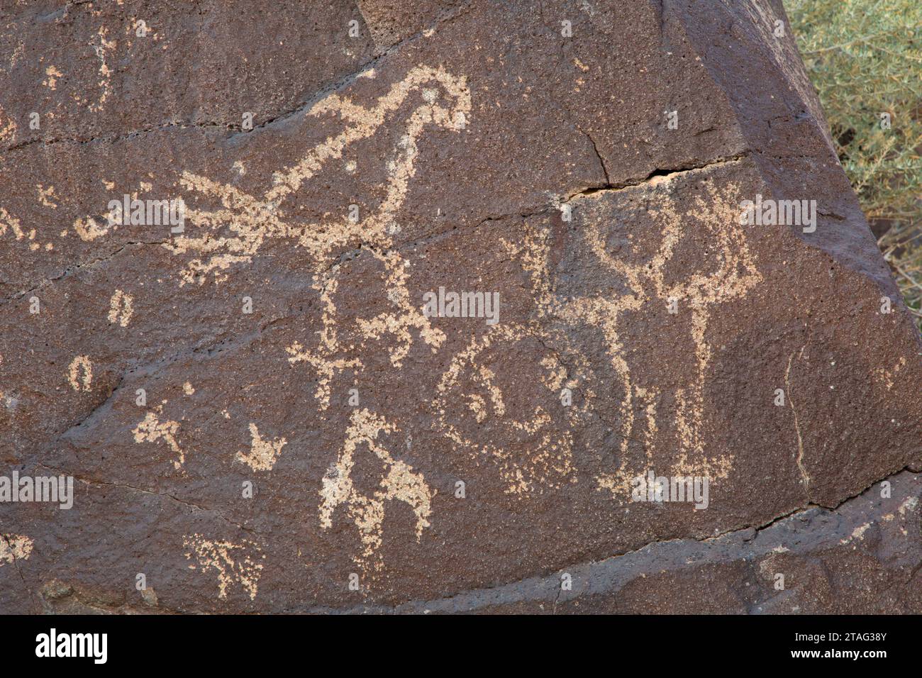 Petroglyph, Piedras Marcadas Canyon, Petroglyph National Monument, New Mexico Stockfoto