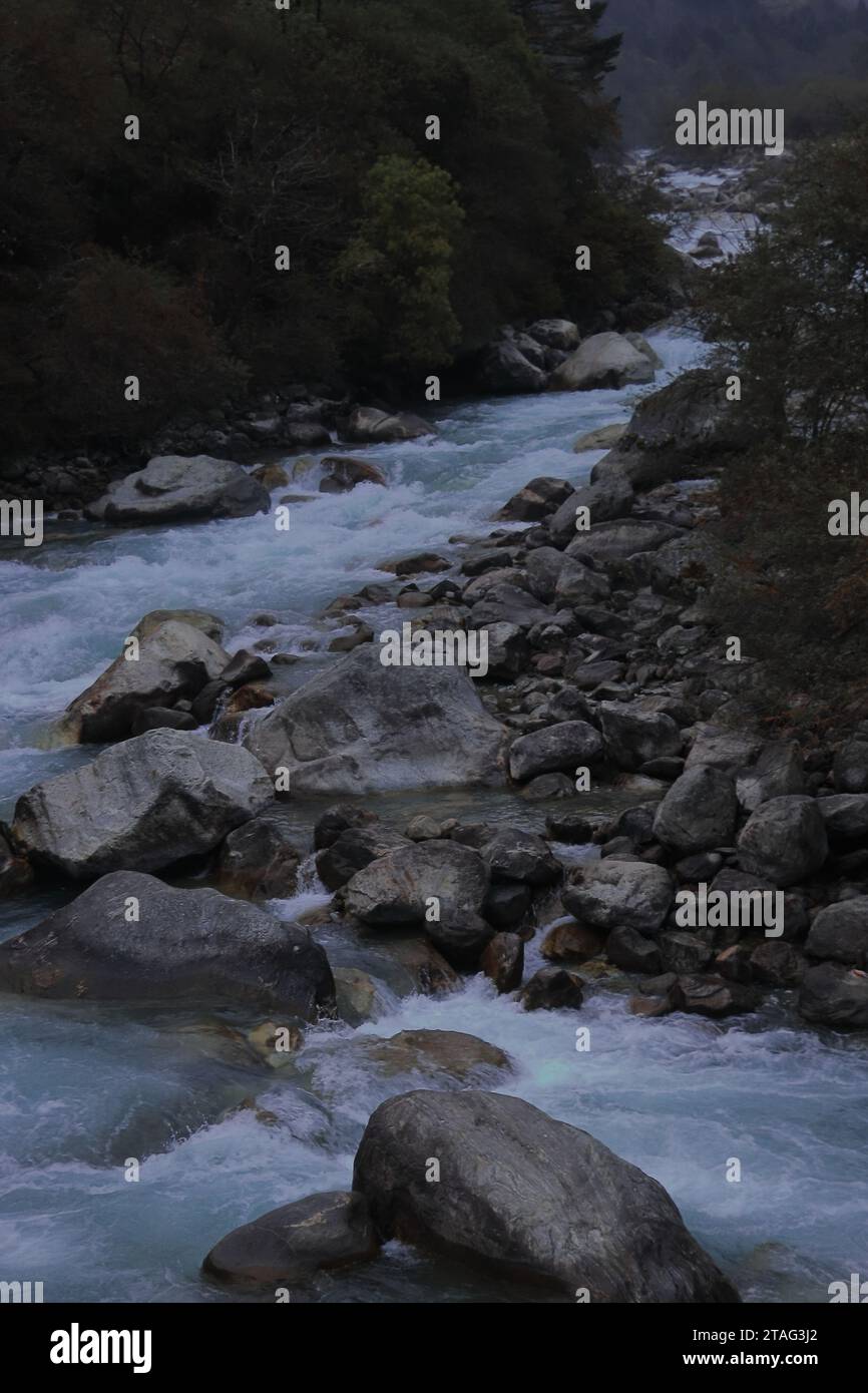 Wunderschöner lachung Chu Fluss, der durch das mit Wald bedeckte Tal fließt, auf den Ausläufern des himalaya an der Lachung Hill Station im Norden von sikkim, indien Stockfoto