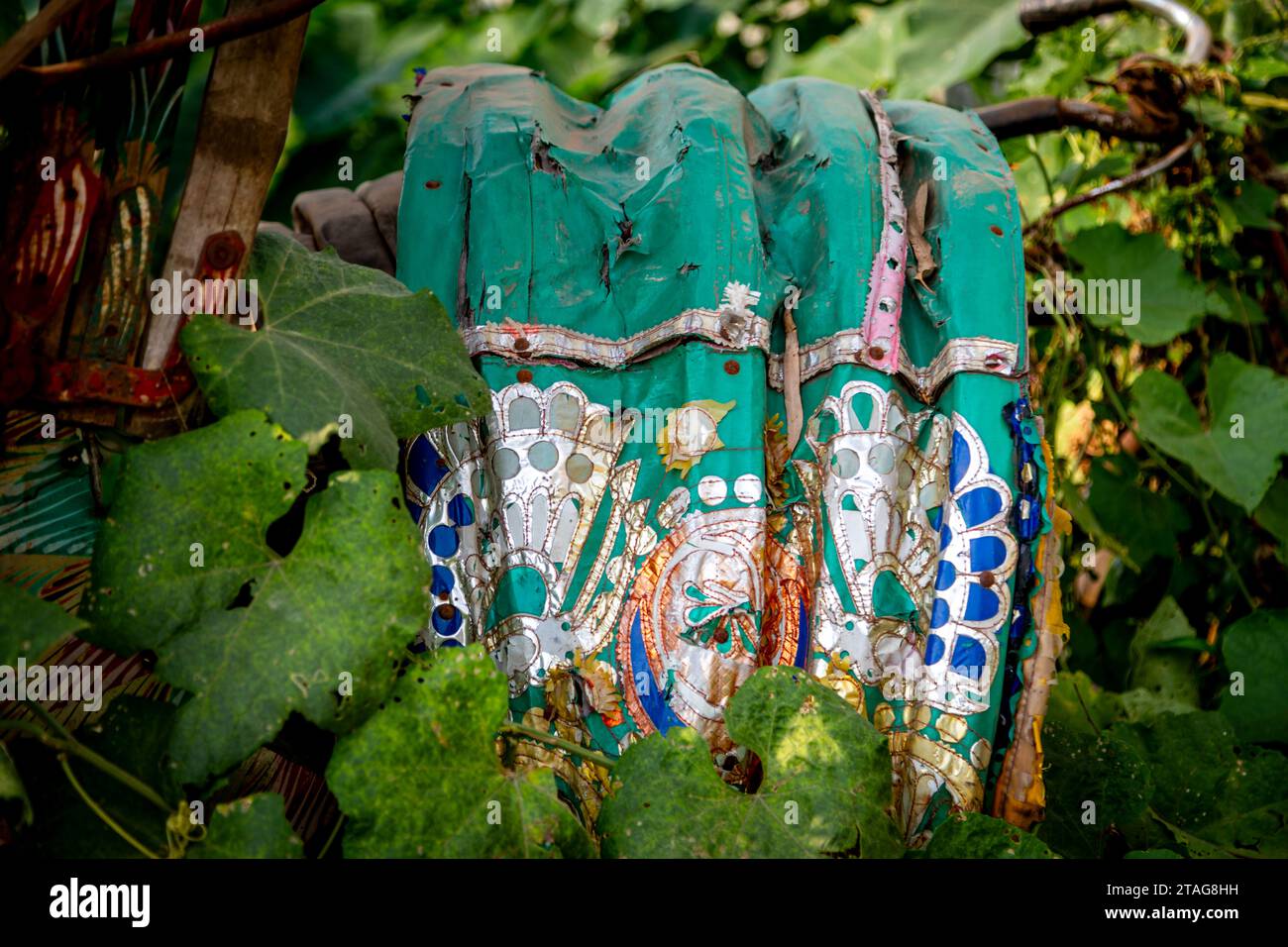 Das hoch dekorierte Baldachin eines verlassenen Rikscha-Fahrradtaxis wird durch die Vegetation am Straßenrand in Sylhet, Bangladesch, gesehen. Stockfoto