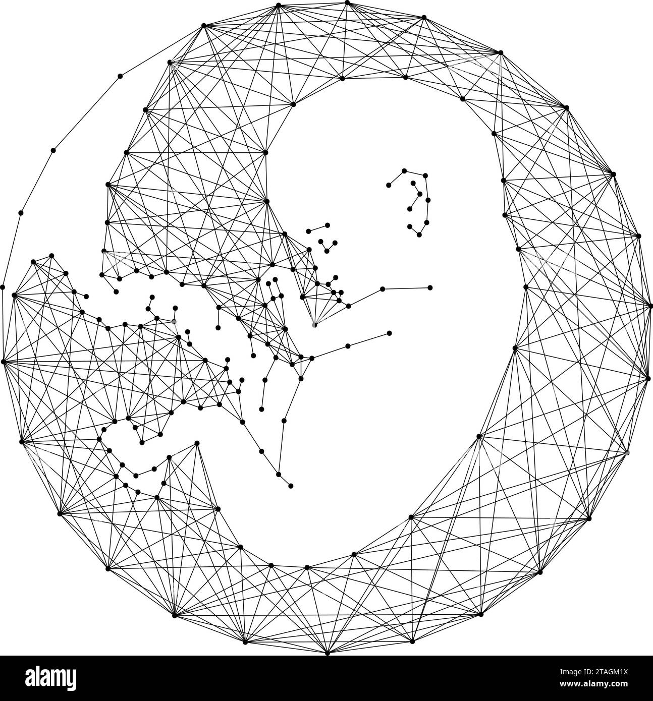 Embryo, menschlicher Fetus im Mutterleib, aus abstrakten futuristischen polygonalen schwarzen Linien und Punkten. Vektorabbildung. Stock Vektor