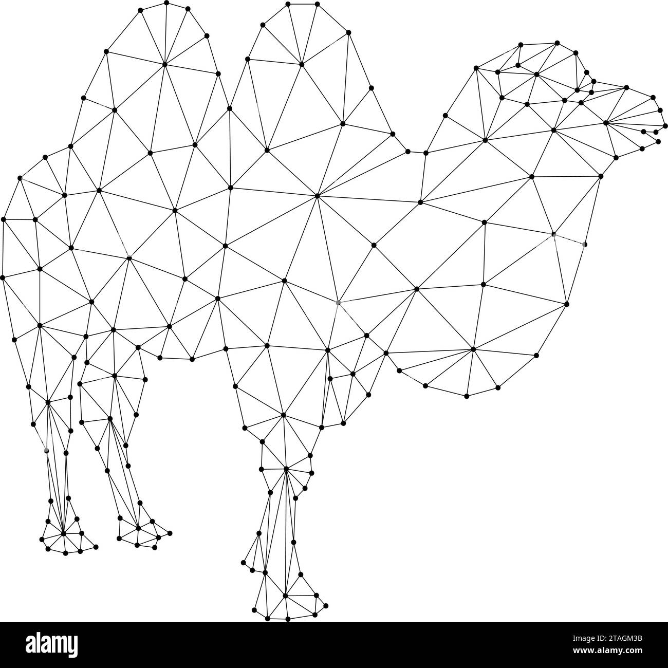 Kamel, zwei - buckelt, von abstrakten futuristischen polygonalen schwarzen Linien und Punkten. Vektorabbildung. Stock Vektor