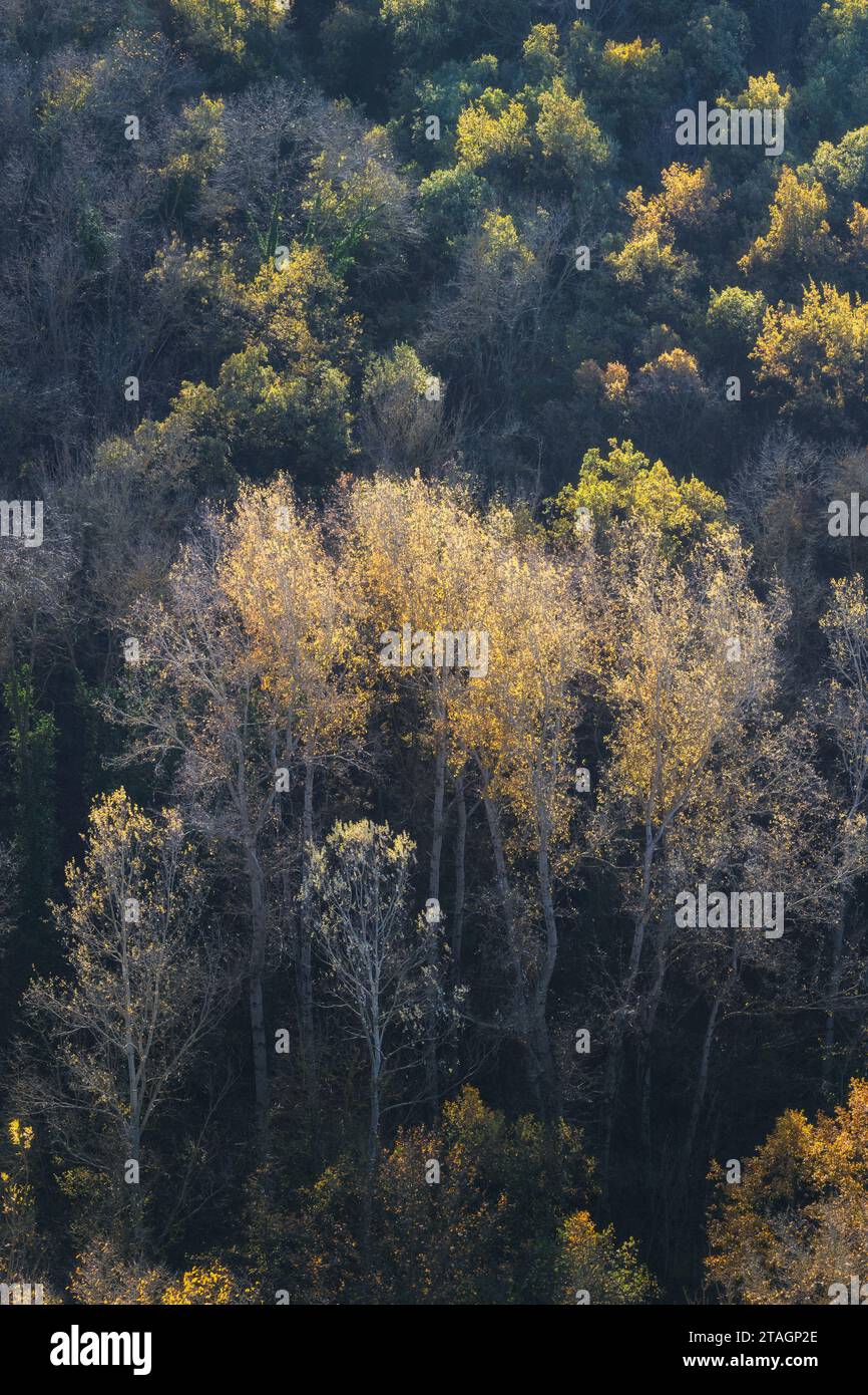 Herbst-Stimmung Stockfoto