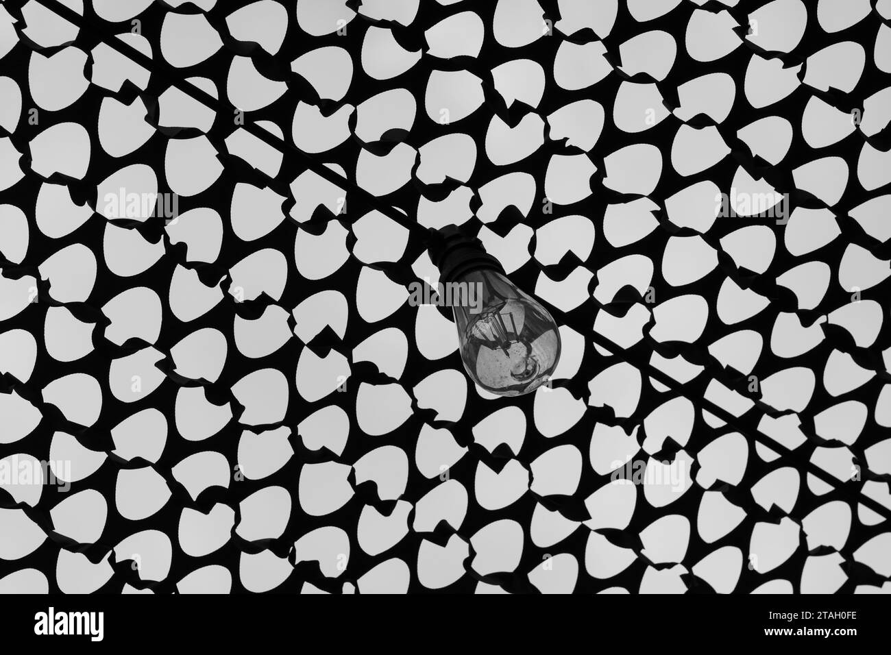 Glühbirne, auf dem Draht. Musterstruktur, Schwarzweiß-Hintergrund. Abstrakter Minimalismus. Schwarzweiß. Technologie. Stockfoto