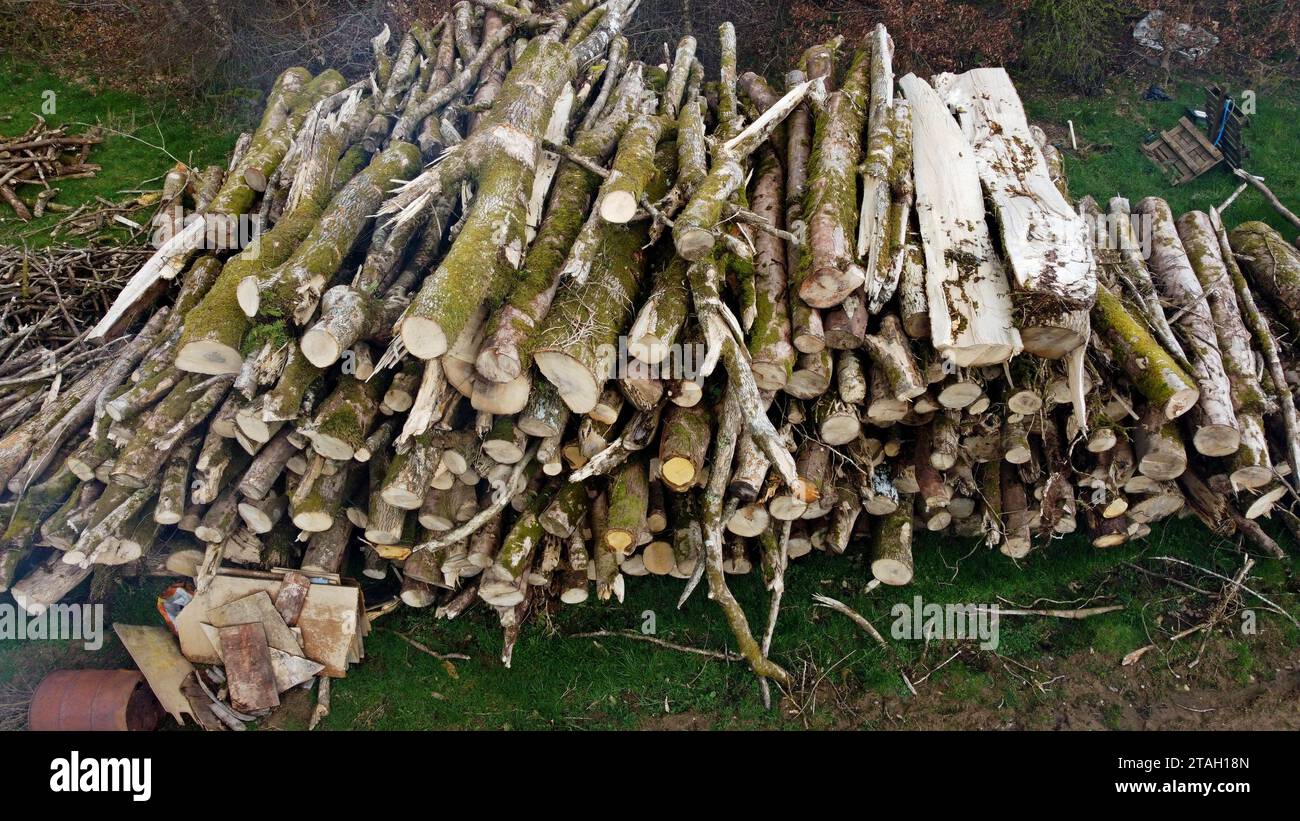 Drohnenfoto von Eschenenstämmen und Holzhaufen auf einem Feld nach dem Fällen in Carmarthenshire, West Wales, Großbritannien. März 2023 Stockfoto