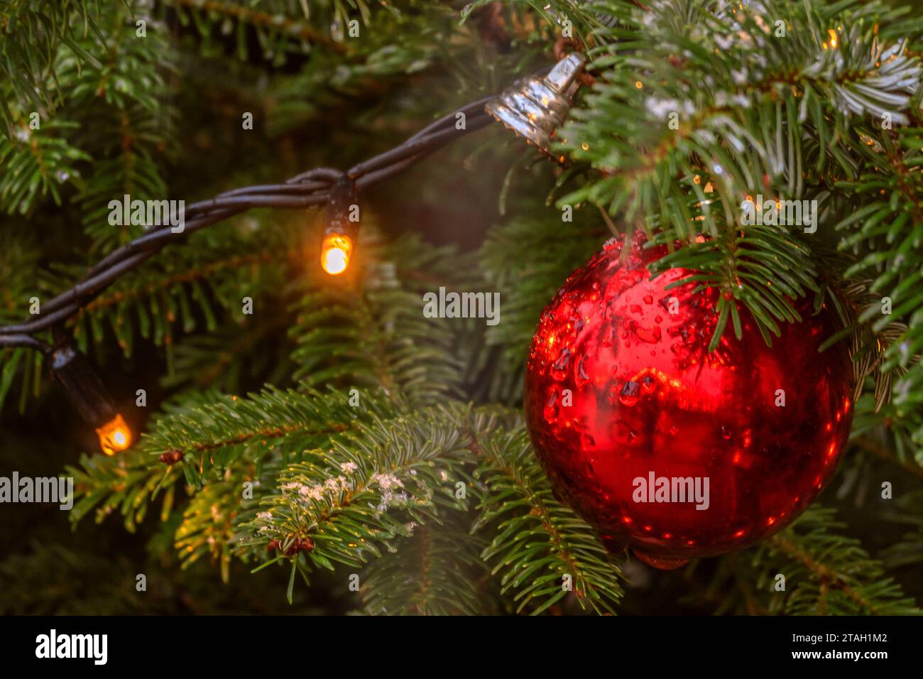 BADEN-WÜRTTEMBERG : WEIHNACHTSMARKT ULM - CHRITMAS DECOR Stockfoto