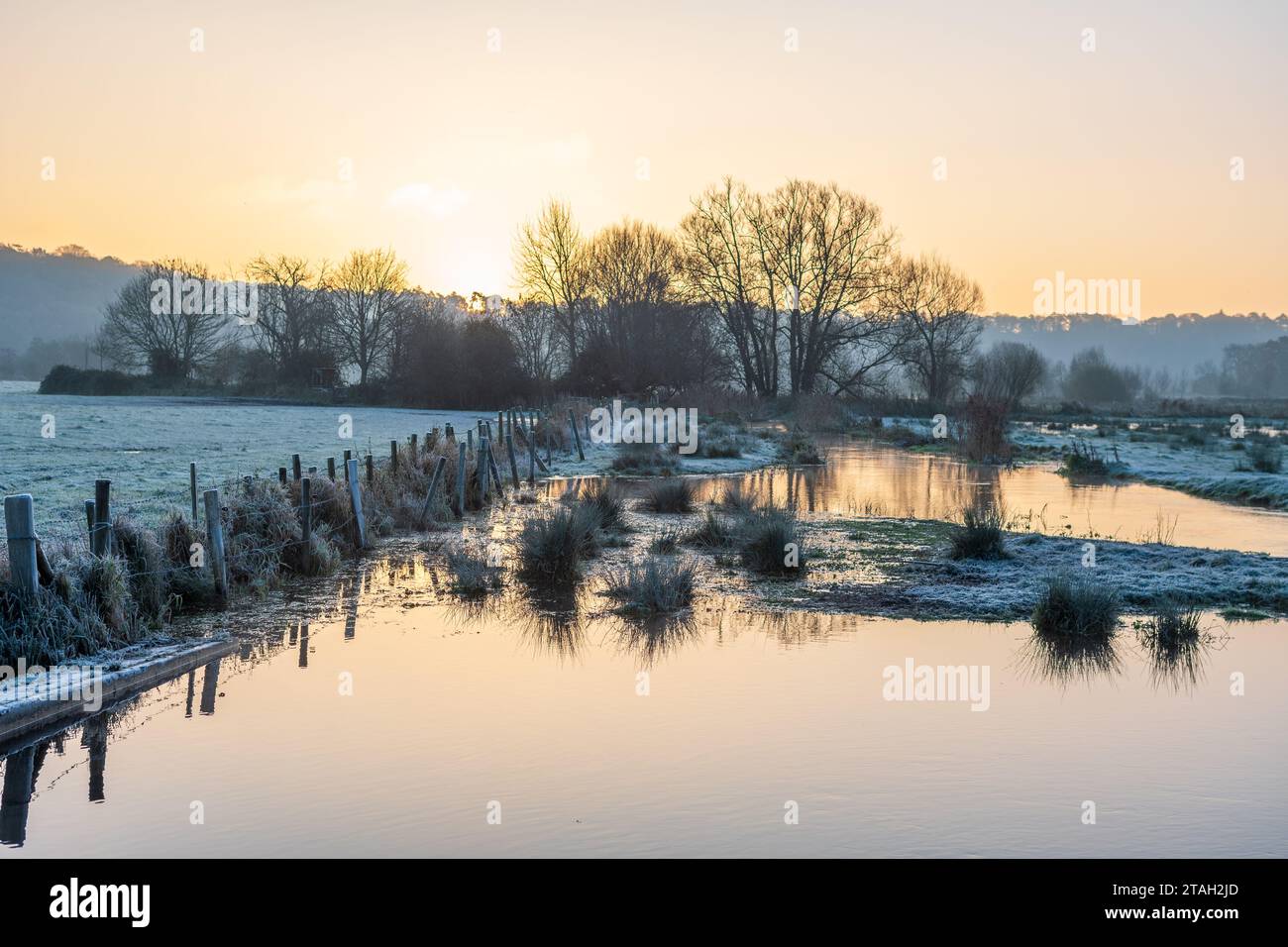 Avon Valley, New Forest, Hampshire, Großbritannien, 1. Dezember 2023: Wetter. Frostiger Winteranfang auf dem Land. Harter Frost am ersten Morgen des meteorologischen Winters. Quelle: Paul Biggins/Alamy Live News Stockfoto