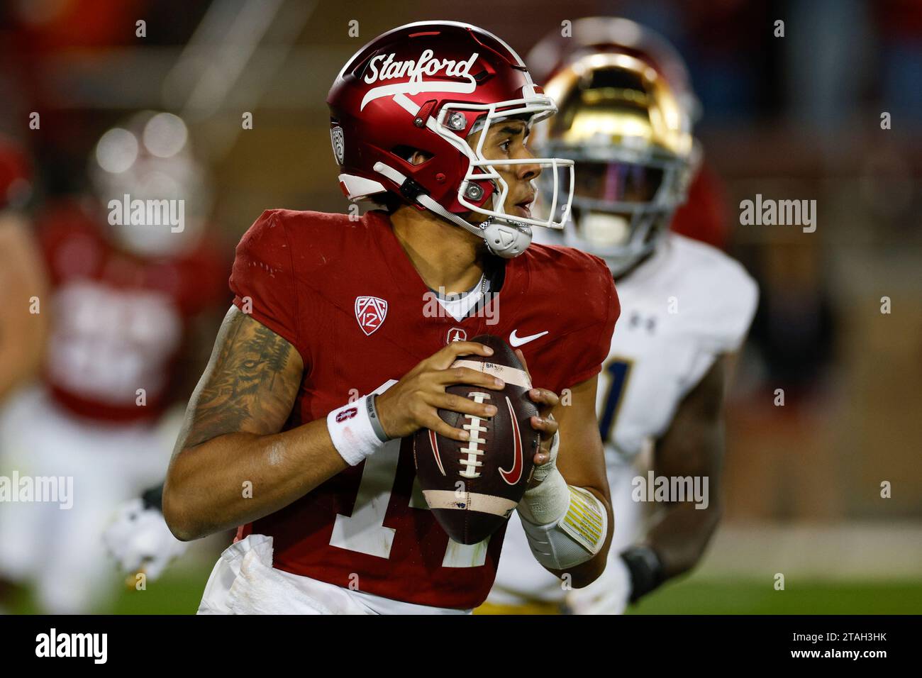 Stanford Cardinal Quarterback Ashton Daniels (14) sucht einen offenen Empfänger während eines regulären College Football-Saisonspiels gegen die Notre Dame Figh Stockfoto