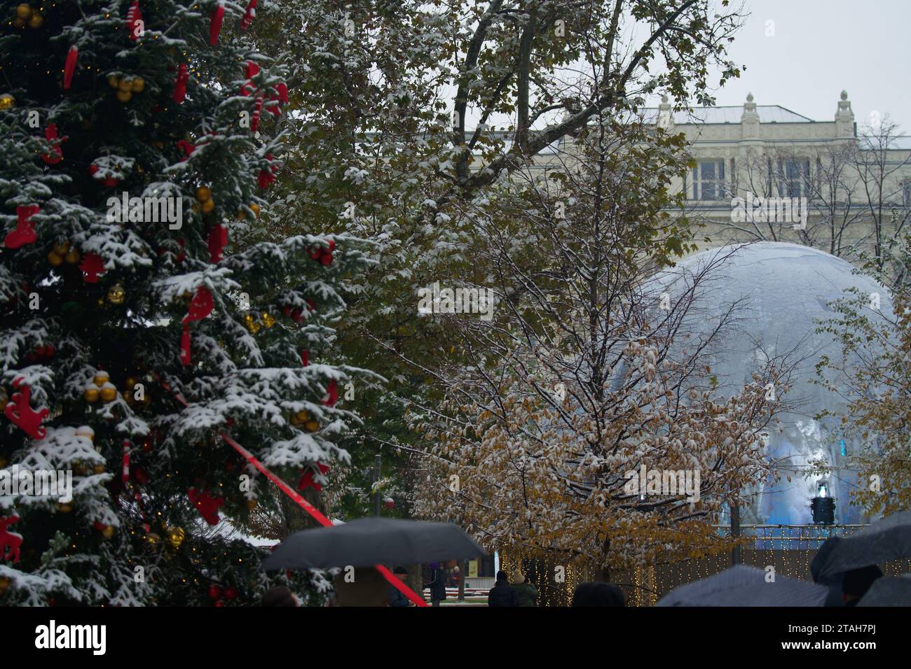 Budapest, Ungarn - 30. November 2023: Verschneite Weihnachtsbäume am Vorosmarty-Platz. Stockfoto