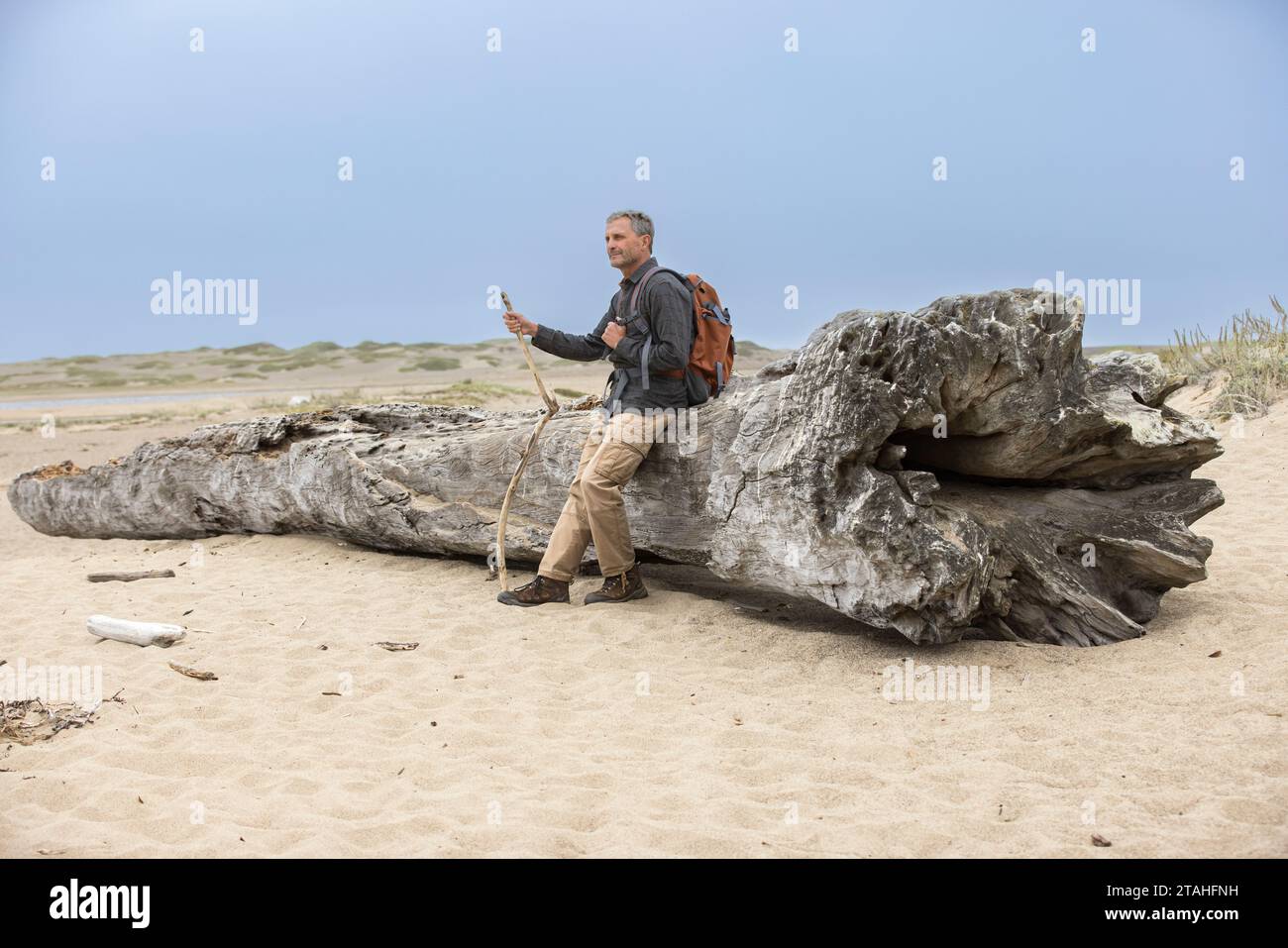 Ein älterer Mann ruht auf einem Log in Point Reyes National Seashore Stockfoto
