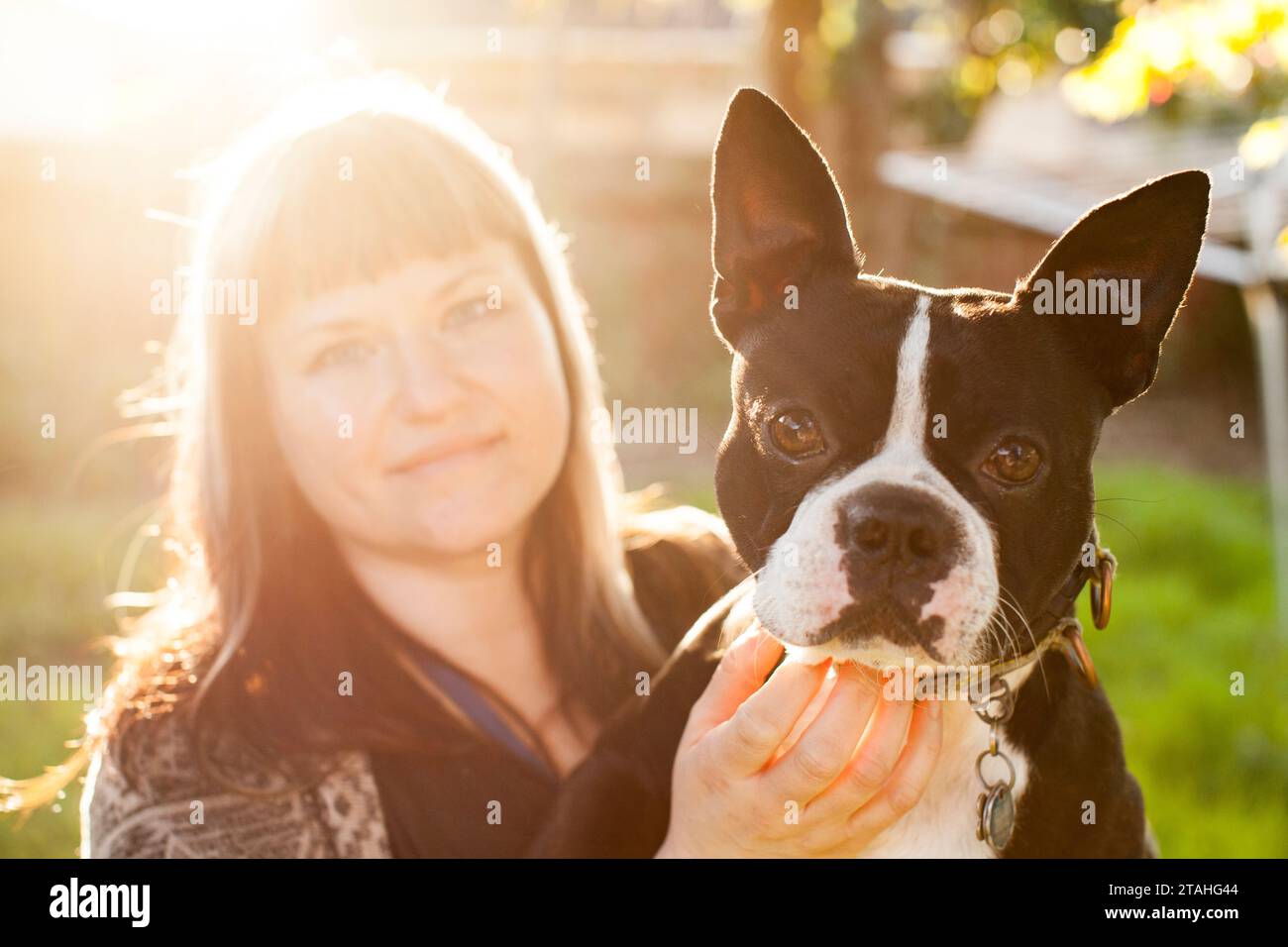 Happy Woman hinterleuchtete, hält einen Boston Terrier in Alarmbereitschaft Stockfoto