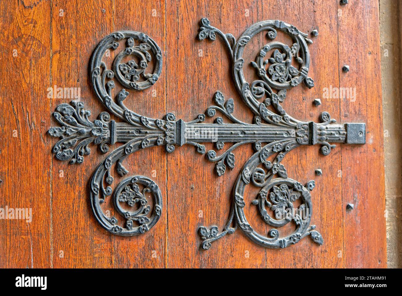 Penture une fer forgé et finement ciselée sur une vieille porte / ein fein gemeißeltes schmiedeeisernes Scharnier an einer alten Tür Stockfoto